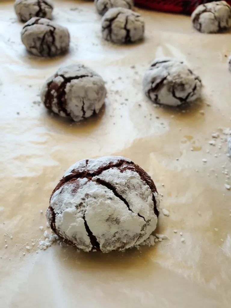 close up view of a chocolate crinkle cookie