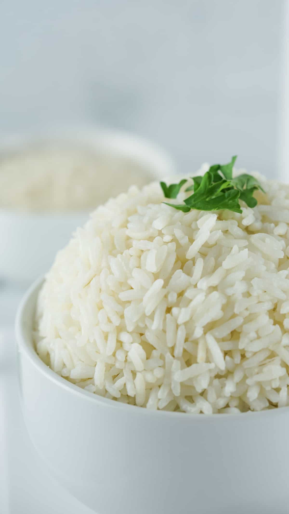Instant Pot Basmati Rice • FoodnService