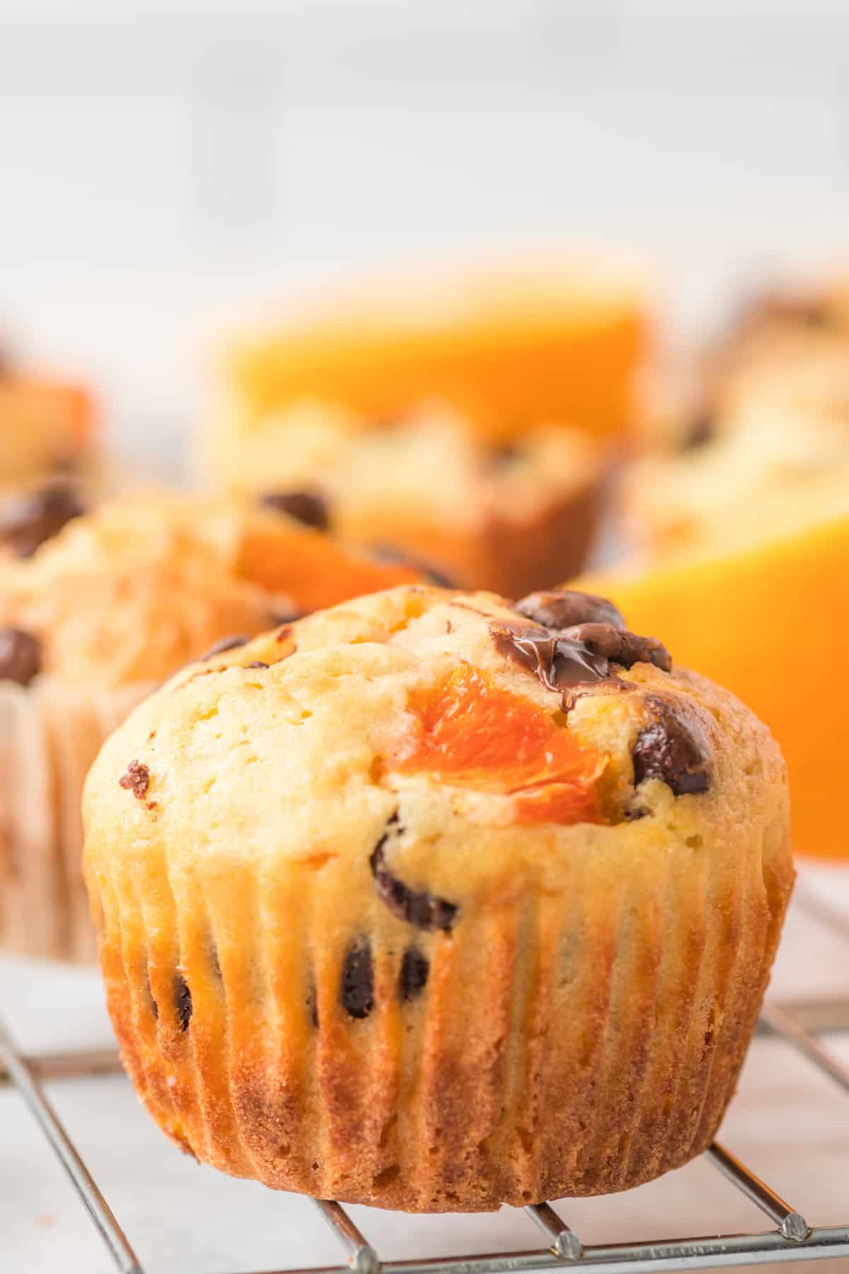 orange-chocolate-chip-muffins-foodnservice