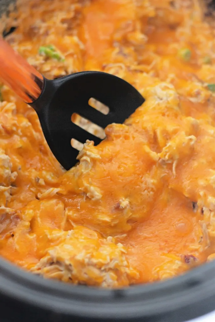 a ladle placed in a crock pot full of crack chicken with green onions diced on top