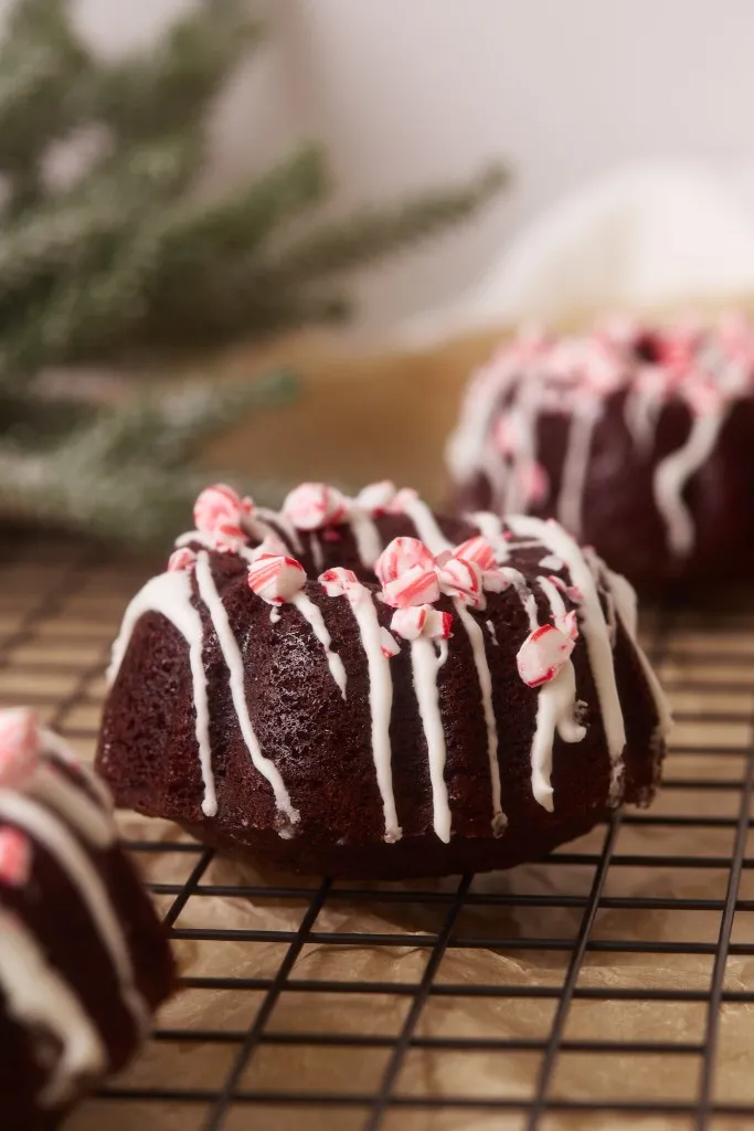 Chocolate peppermint mini bundt cakes on a wire cooling rack.