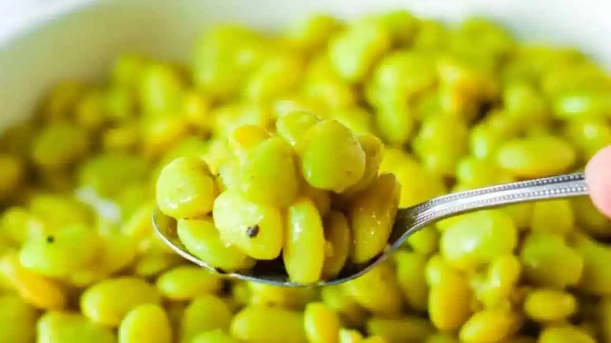 A spoon lifting lima beans from a bowl.