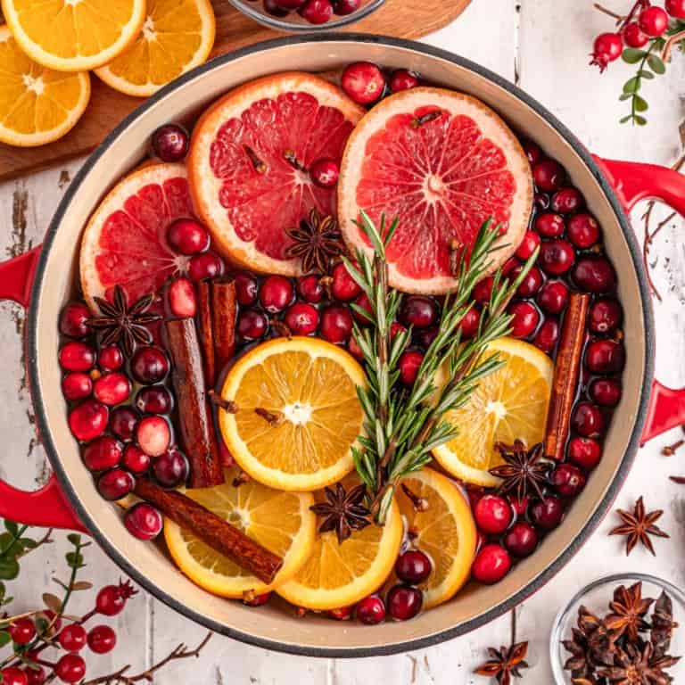 Christmas Simmering Pot