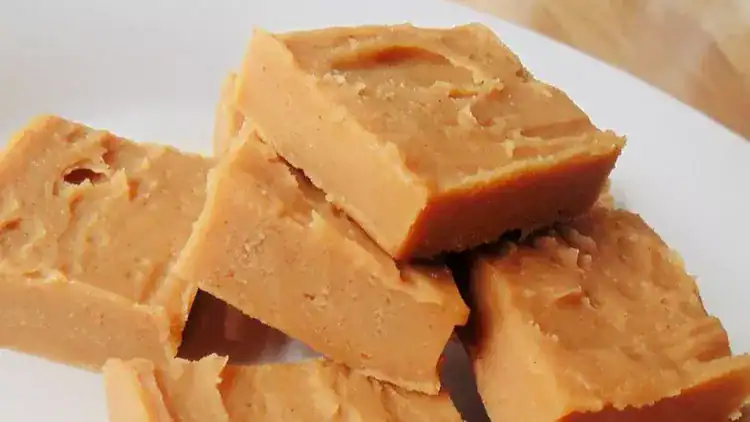 Peanut Butter Freezer Fudge (2-Ingredient)