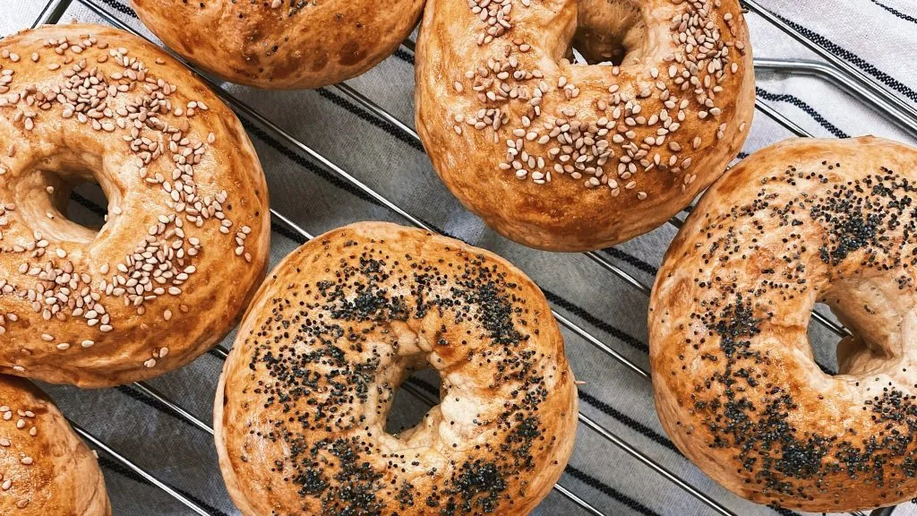 Bagel