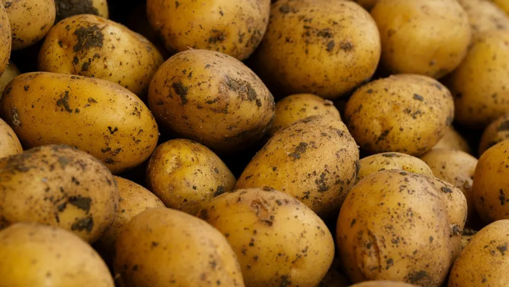 Potato