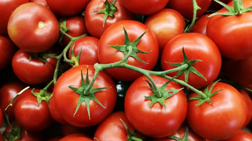 Tomatoes