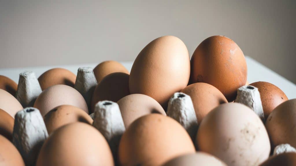 Eggs