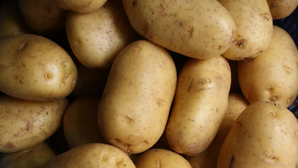 Potato