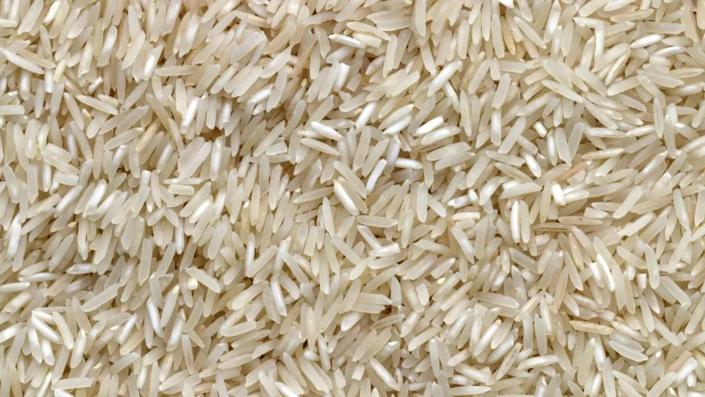 Rice