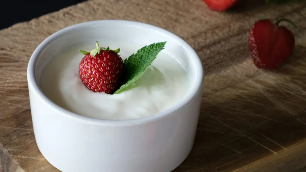 Yogurt