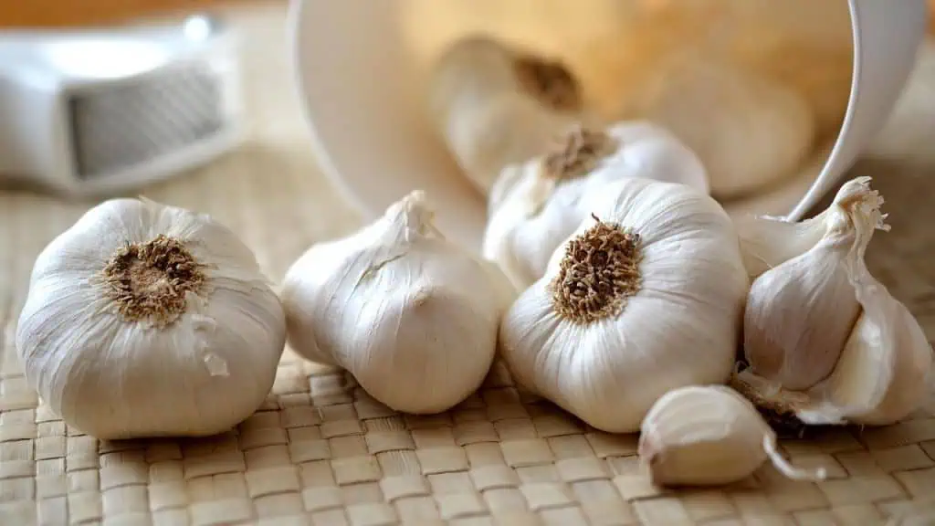 The Problem with Storing Garlic