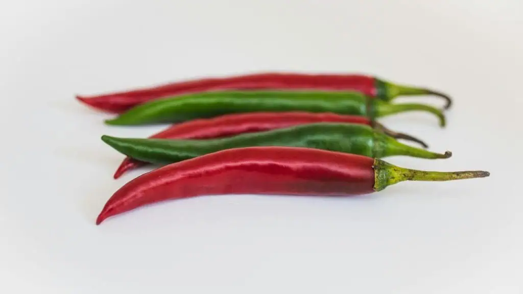 Chili Peppers: Spice Up Your Burn