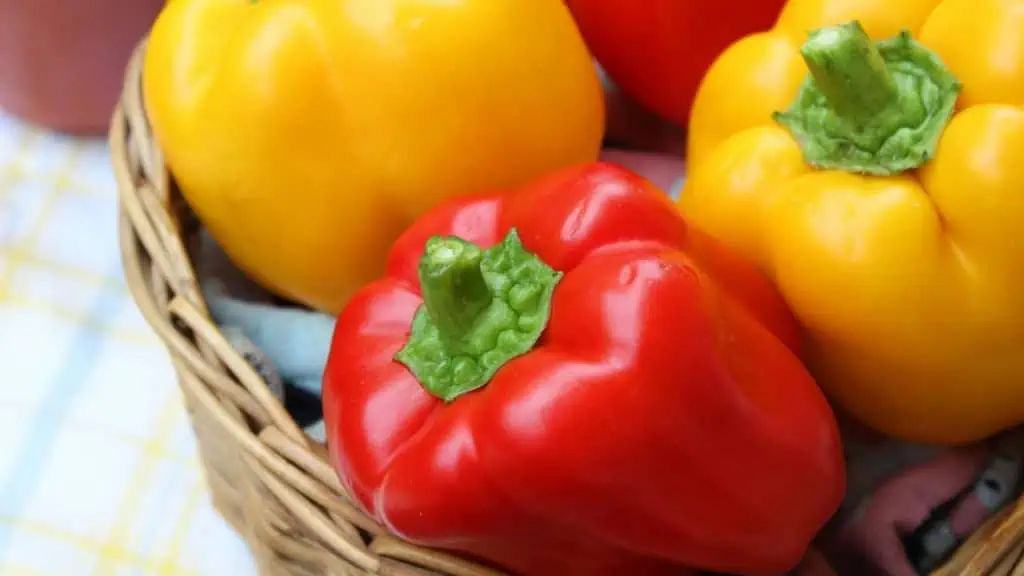 Bell Peppers: A Colorful Punch