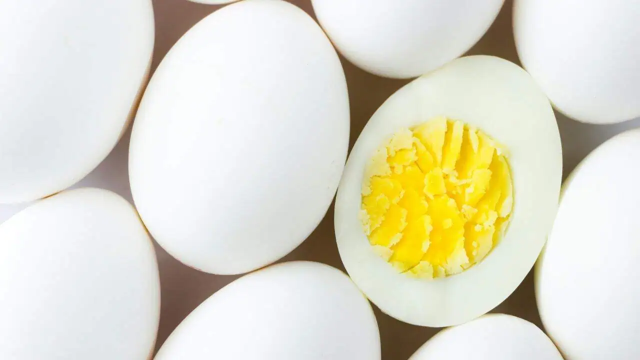 Portable Protein: Hard-Boiled Eggs