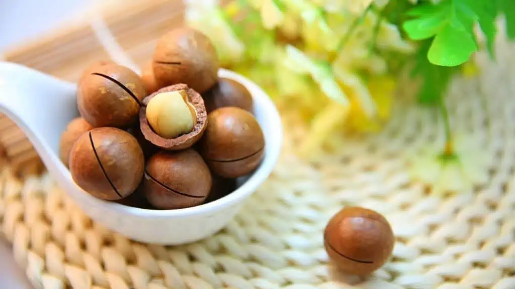 Macadamias: Monounsaturated Marvels