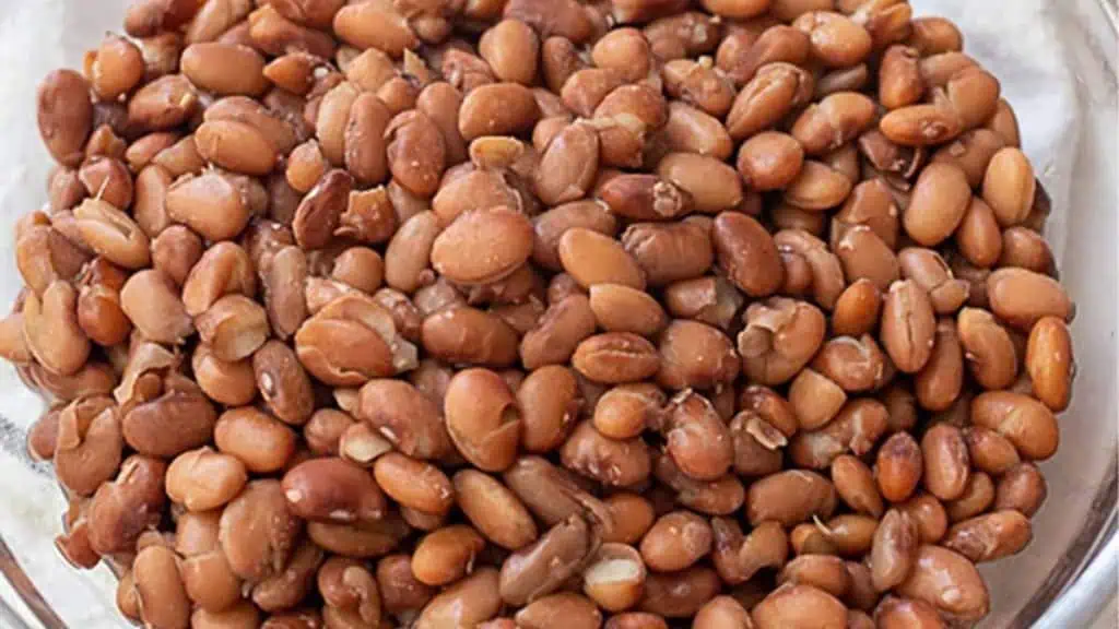 Pinto Beans
