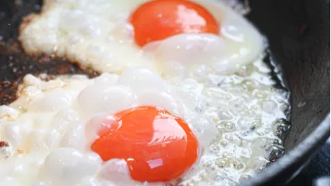 egg