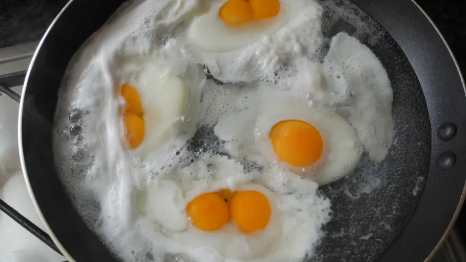 egg