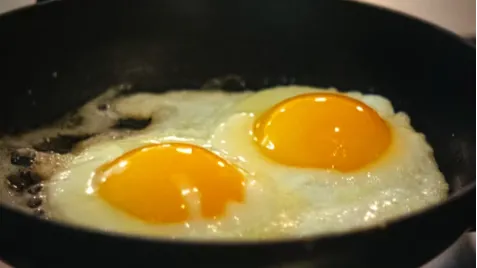 egg