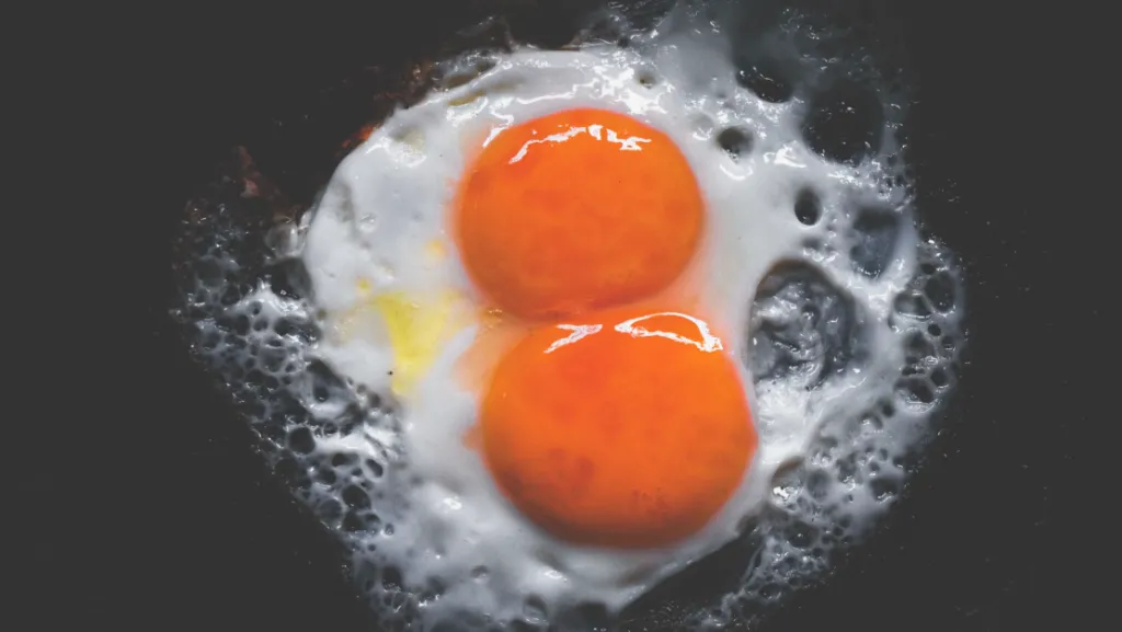 Egg