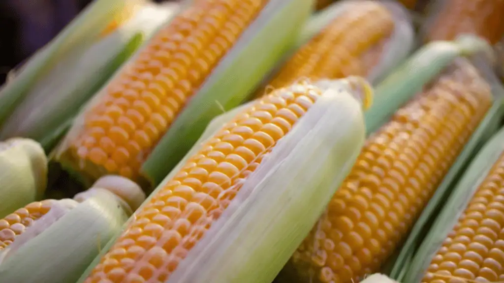 Corn
