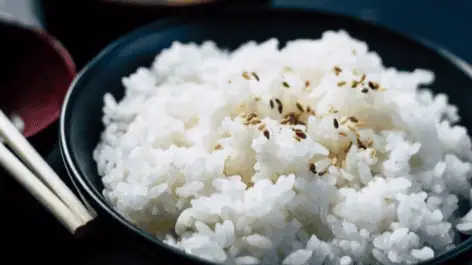 Rice
