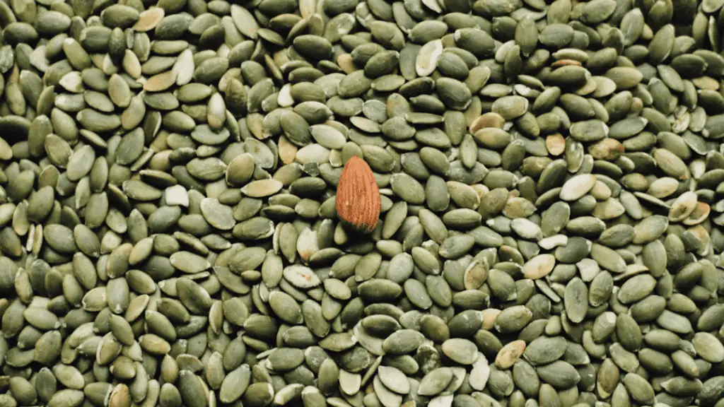 Pumpkin Seeds
