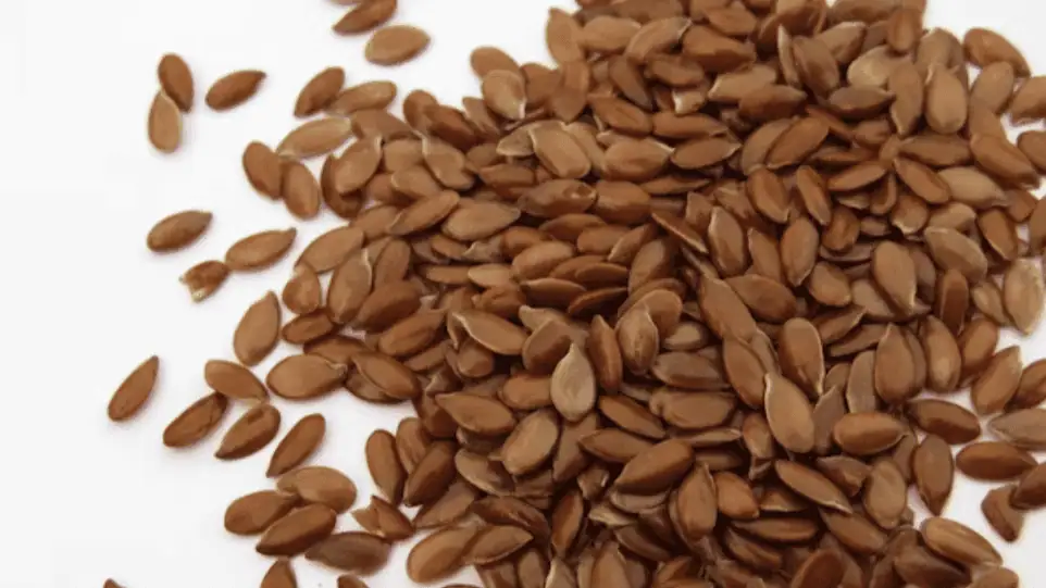 Flax Seed