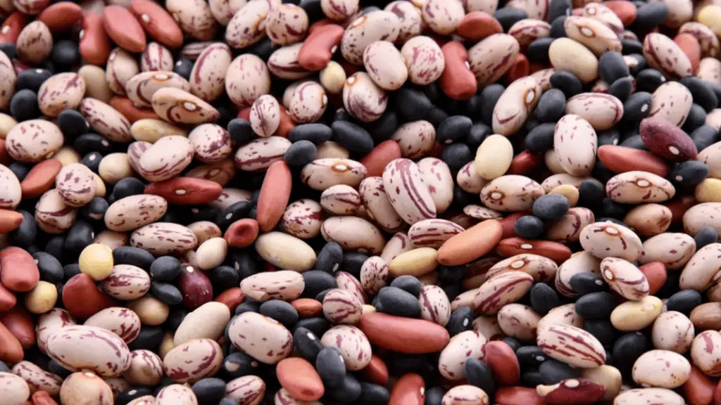 Beans and Legumes