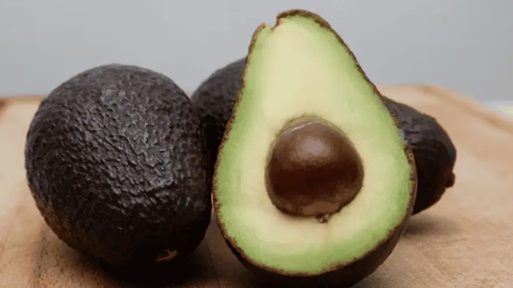 Avocado