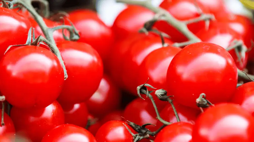 Tomatoes