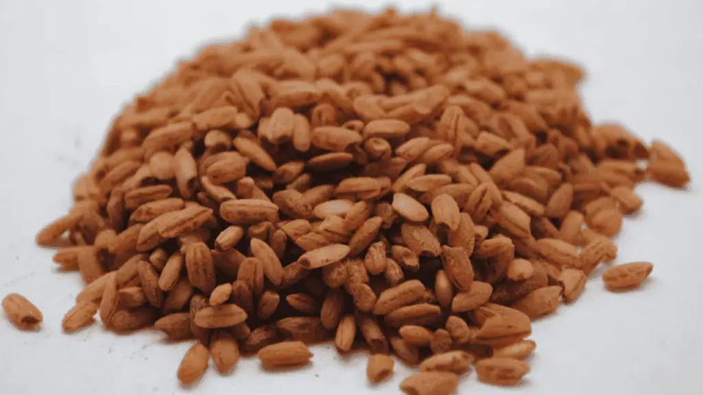 Brown Rice