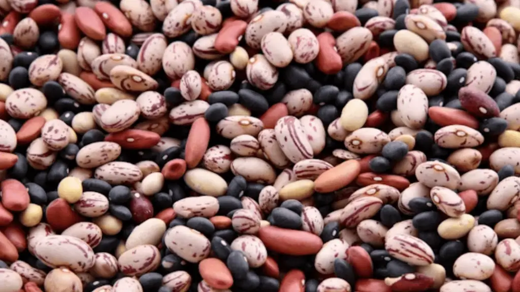 Legumes