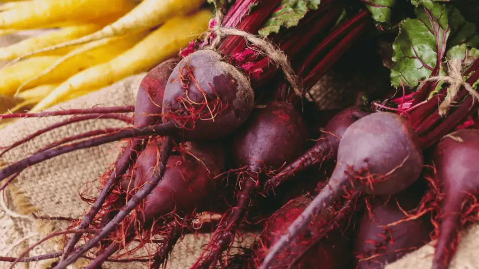 Beets