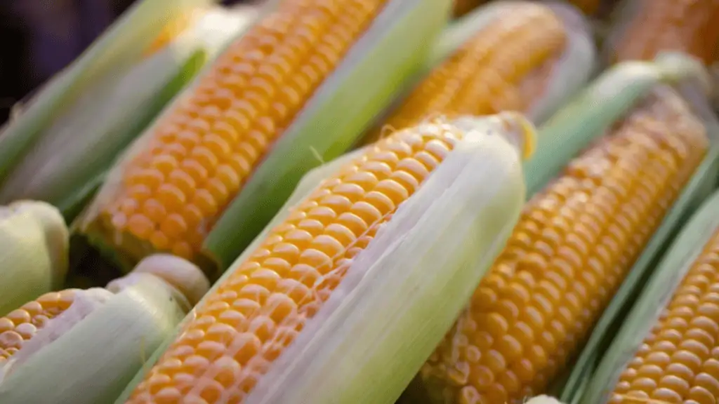 Corn