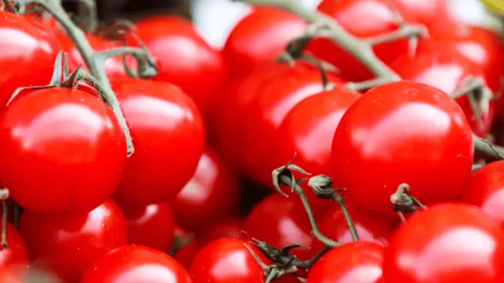 Tomatoes