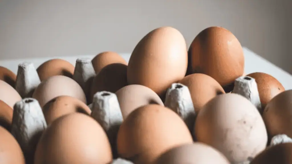 Eggs