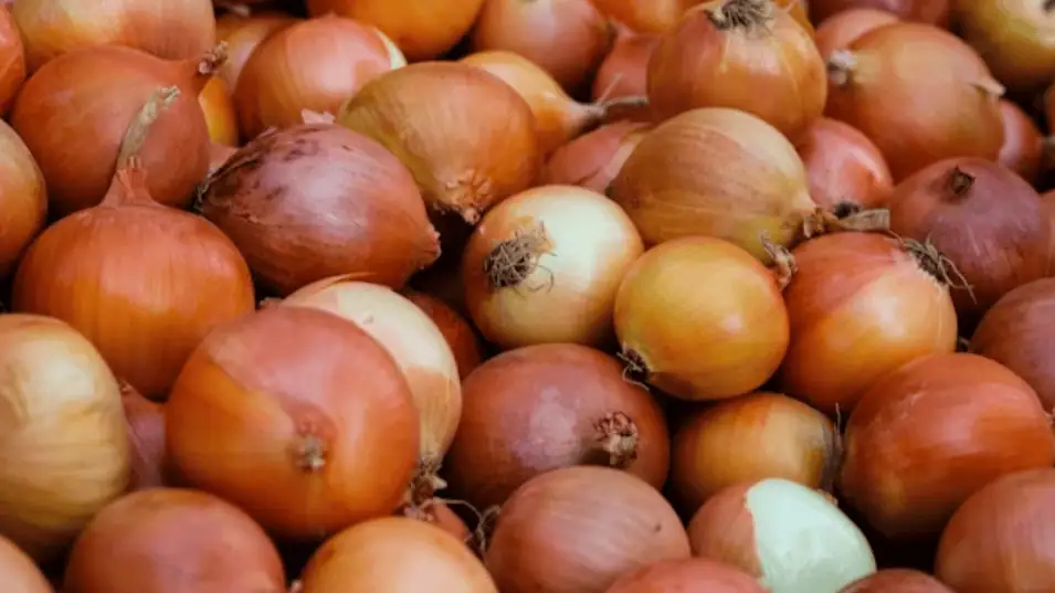 Onions