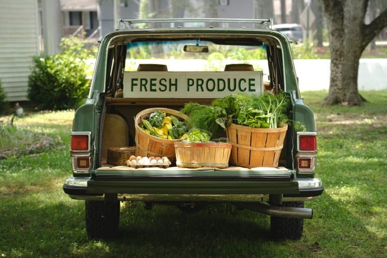 7 Foods You Should Always Buy Organic