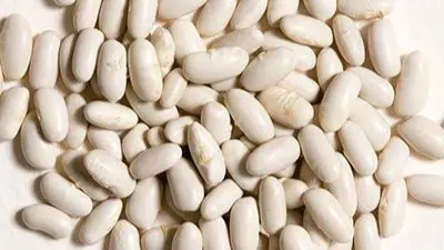 Cannellini Beans