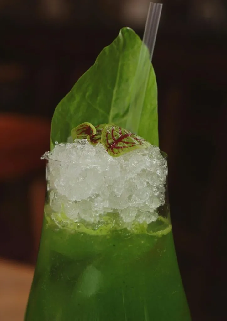 Close-up of a green cocktail with crushed ice and leaf garnish in a dimly lit setting.