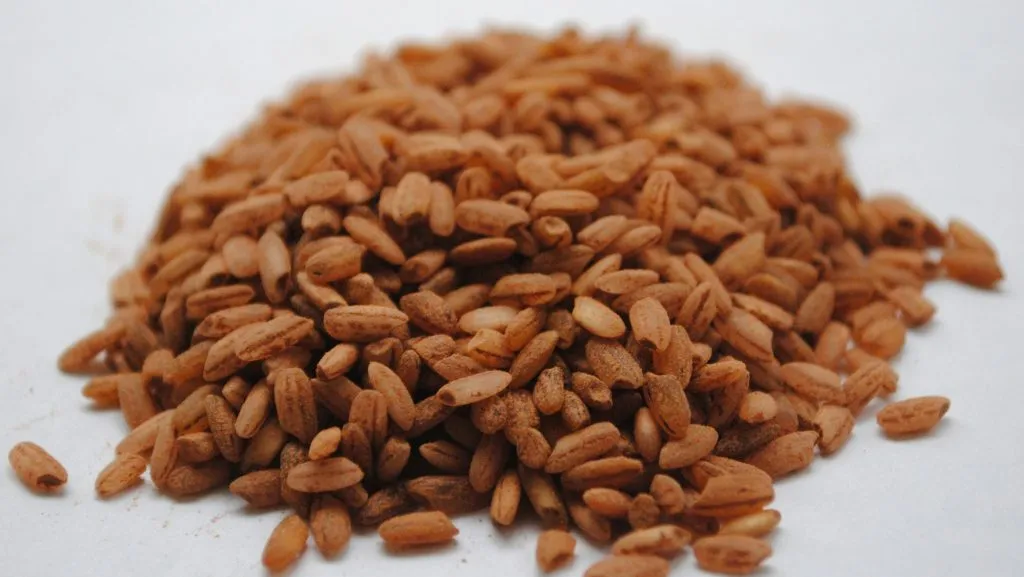 Brown Rice