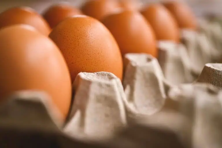 Ditch the Eggs: 5 Vegan Protein Powerhouses