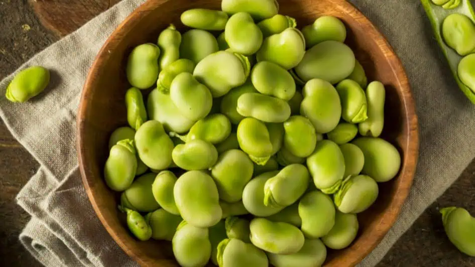 Fava Beans
