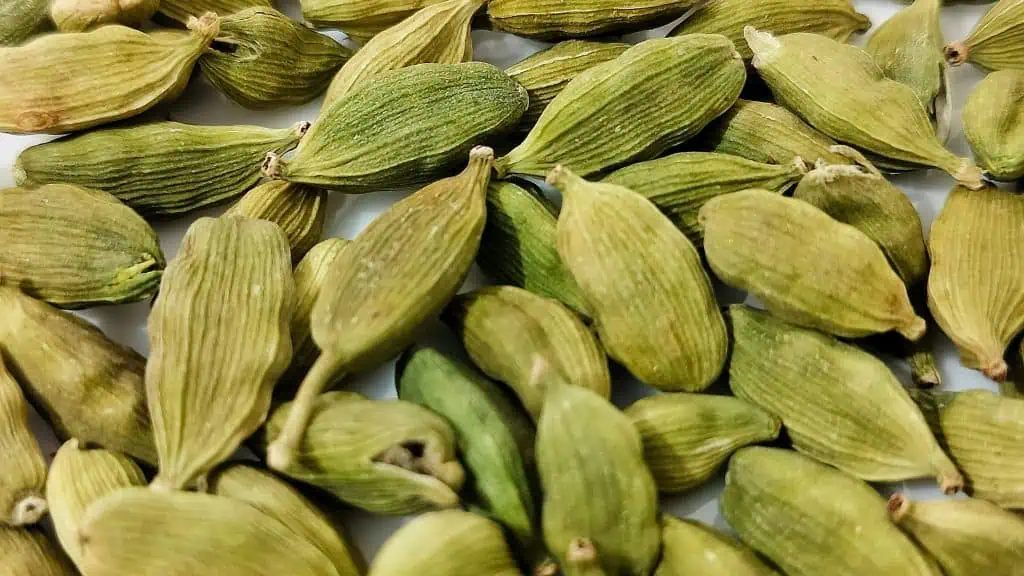 Cardamom