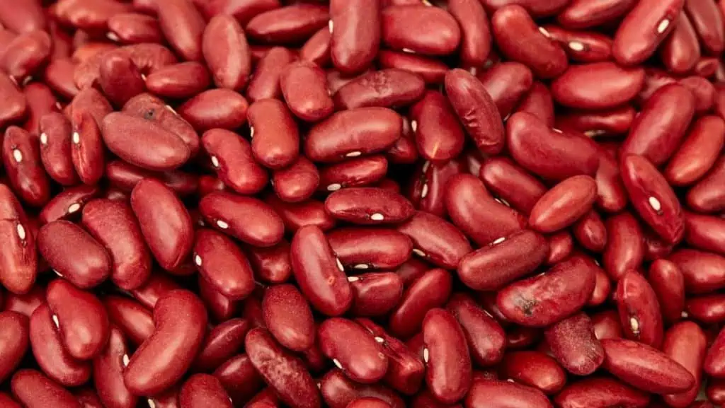 Kidney Beans