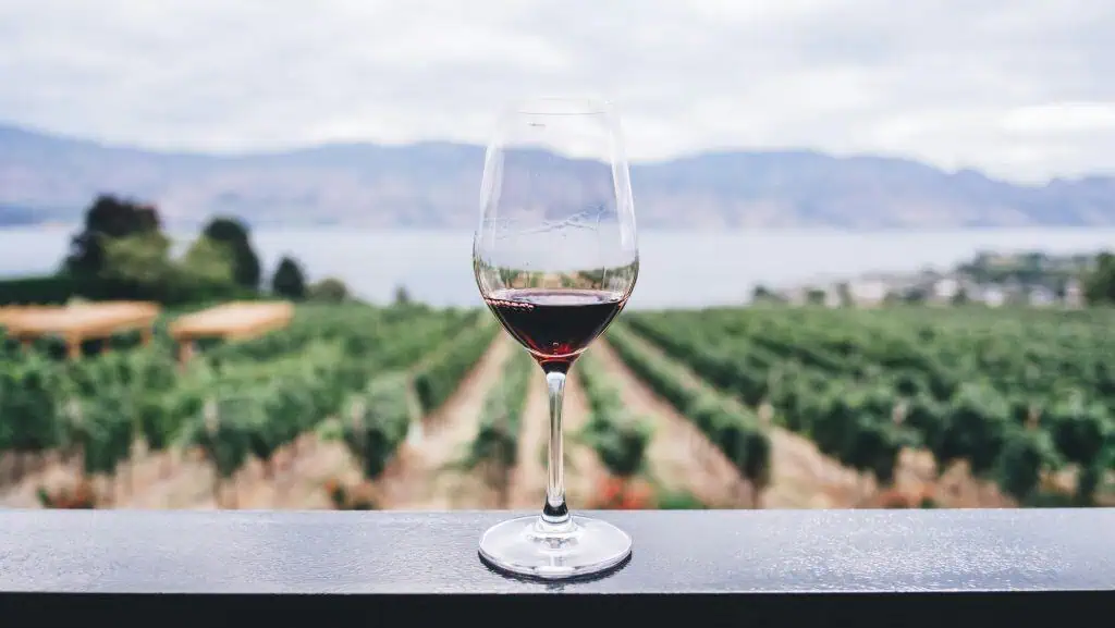 wine