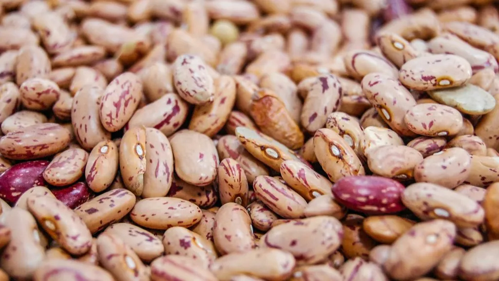Beans