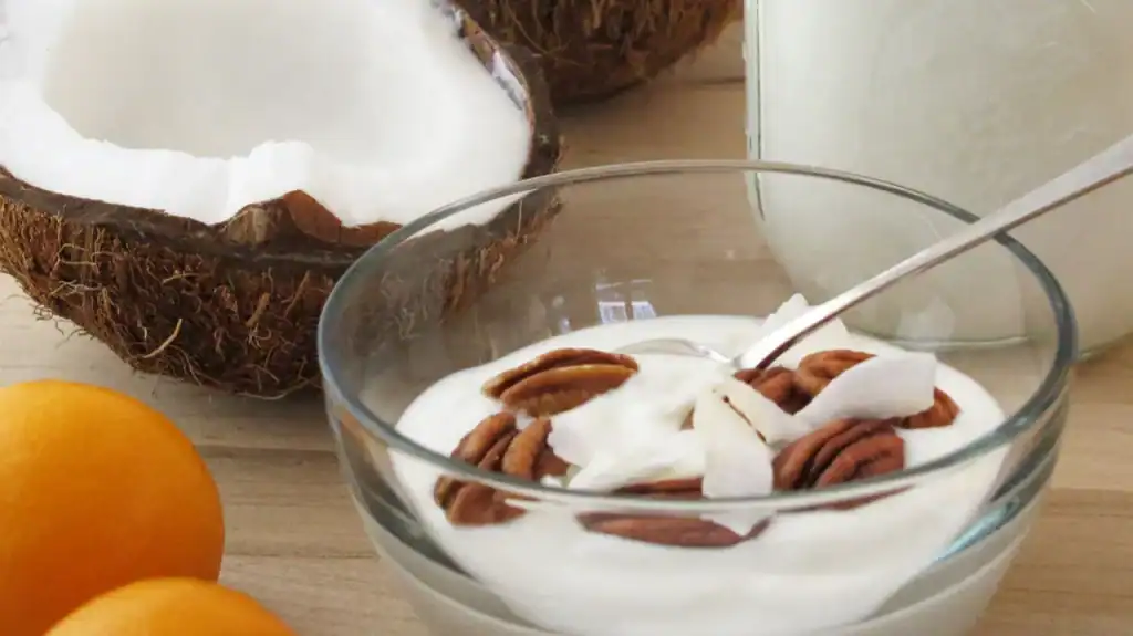 Coconut Milk Yogurt